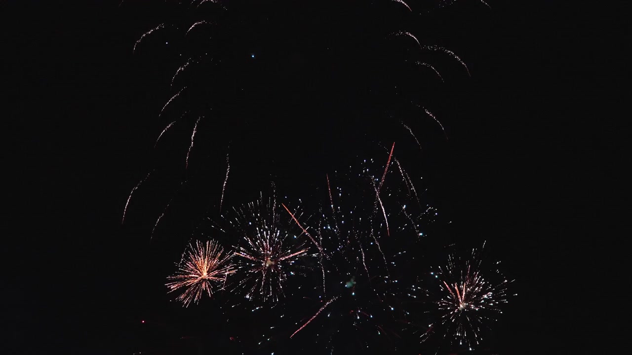 Vibrant fireworks exploding in dark night sky during colorful celebration