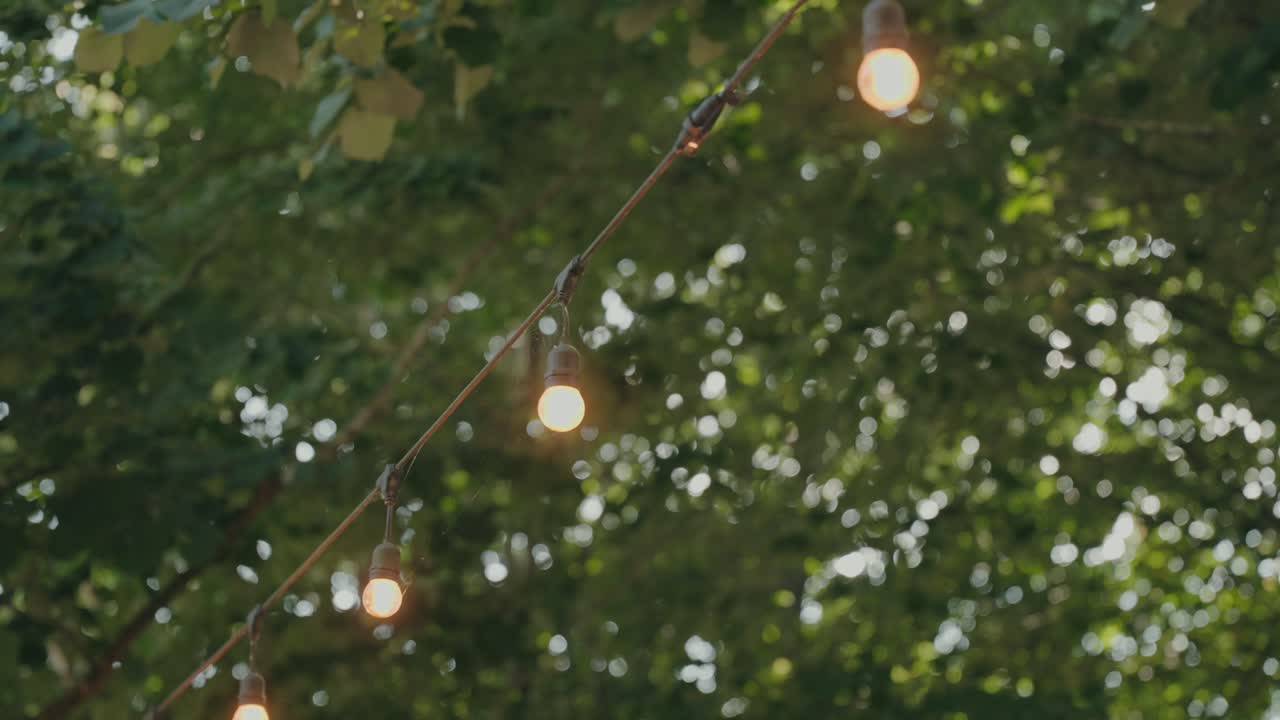 Warm string light bulbs hanging outdoors against green foliage