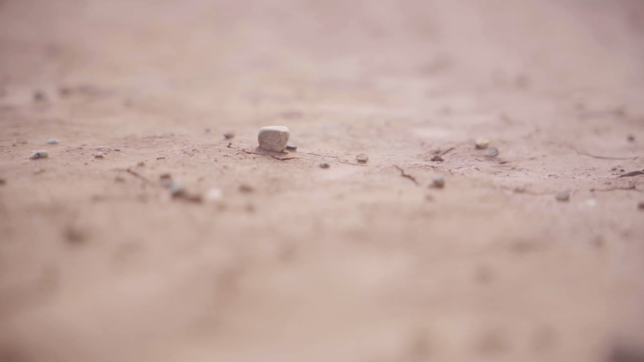 가뭄에 갈라진 땅이 있는 콜롬비아 사막