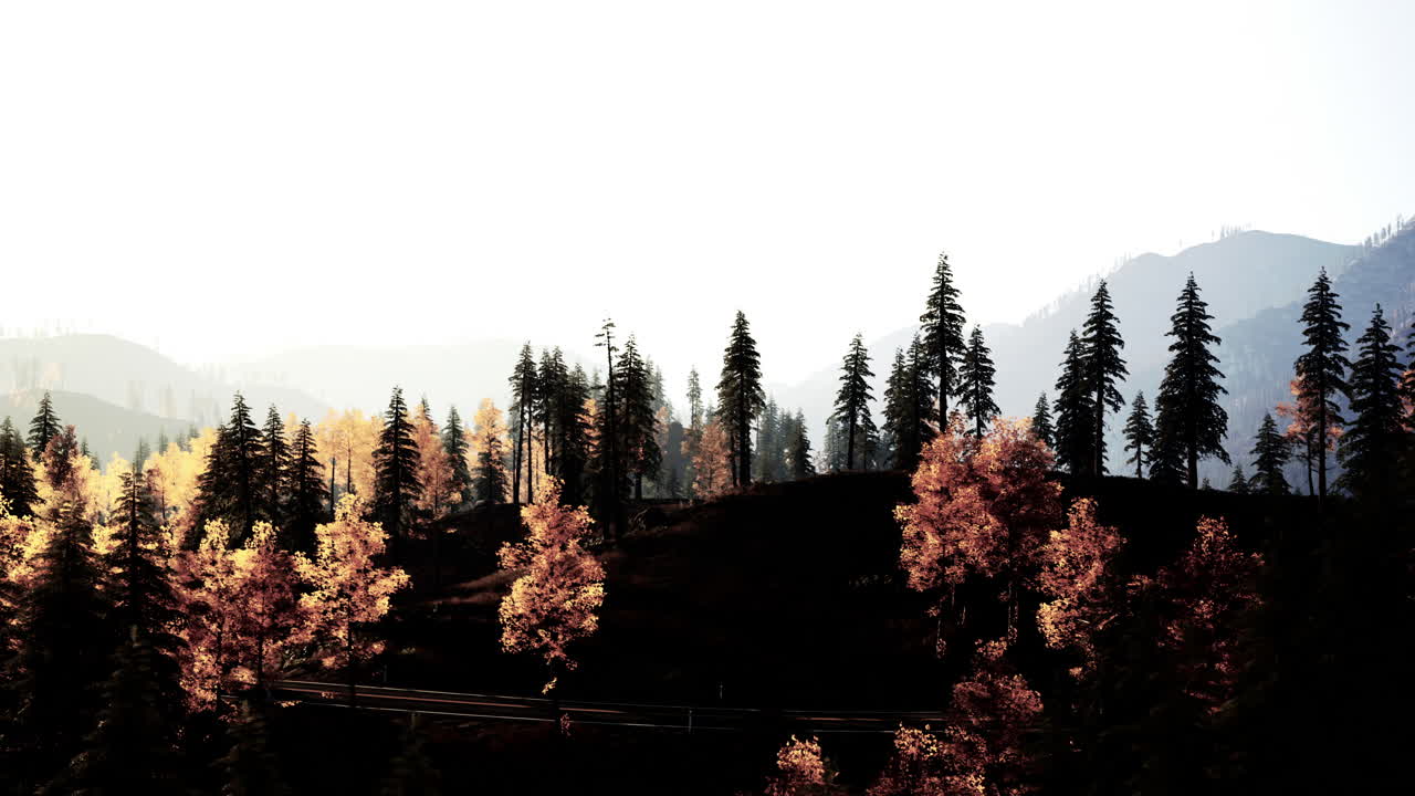 뒷면 에 산 들 이 있는 가을 의 숲