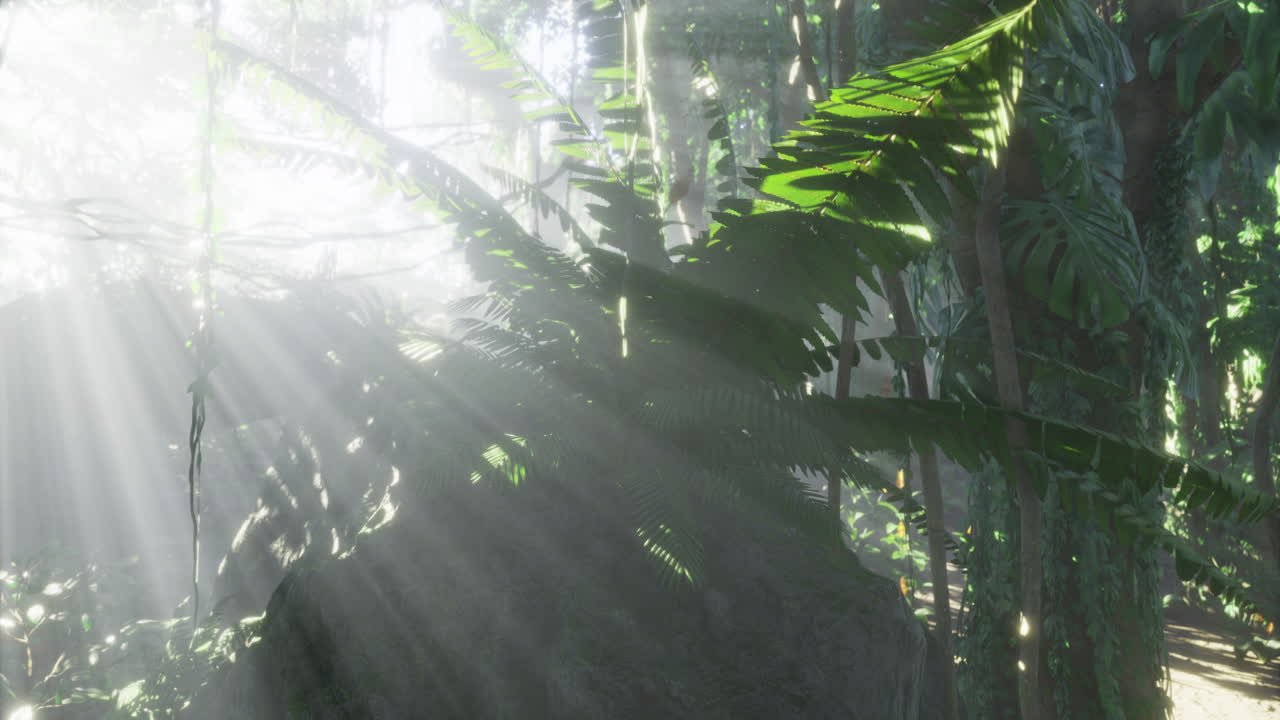 Lush greenery illuminated by sunlight in a serene tropical forest