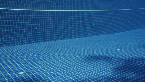 water in a swimming