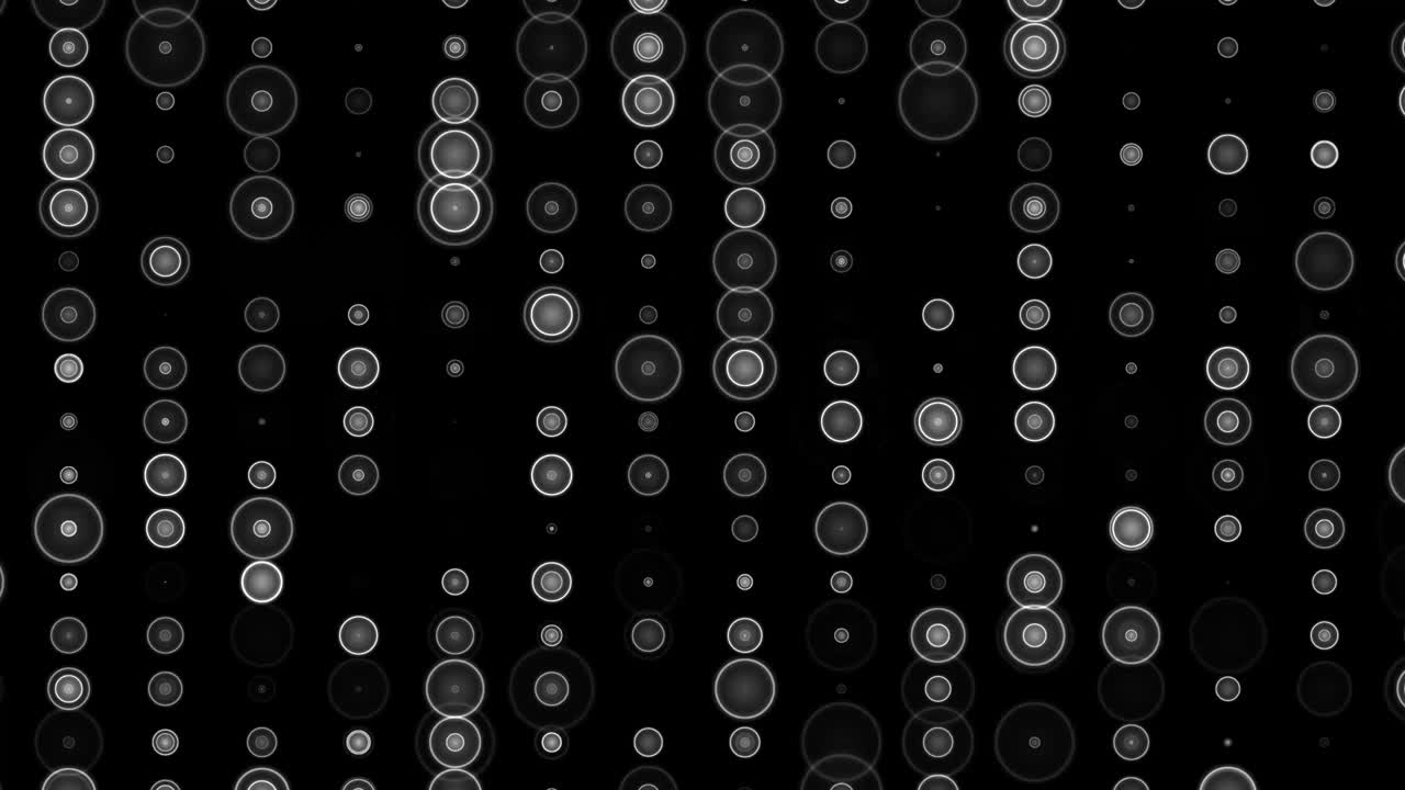 círculos digitales gráficos de movimiento con fondo nocturno