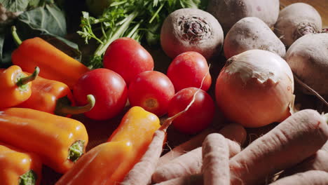 freshly harvested vegetables in daylight. closeup shot