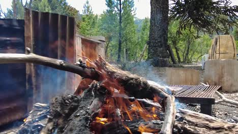 the mesmerizing dance of flickering flames against the backdrop of a majestic forest