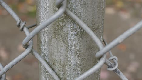 close up - chain link fence with steel pole