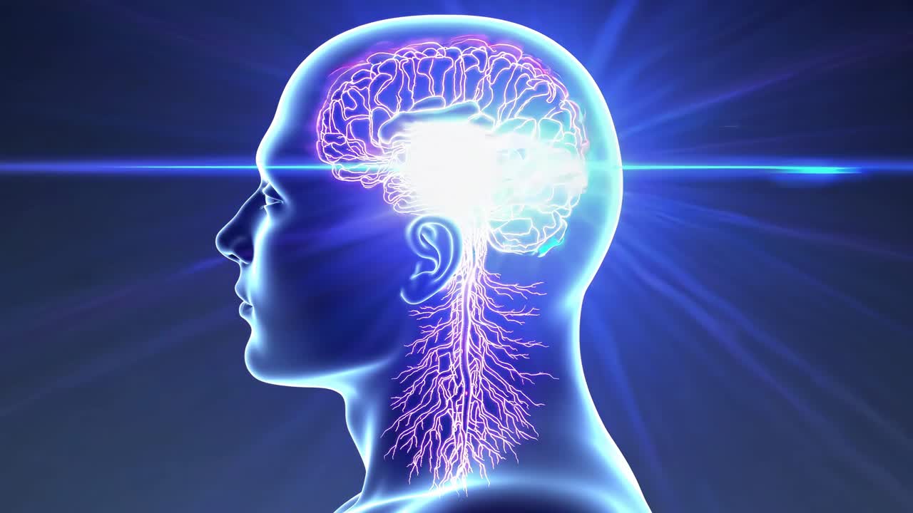 Profilo laterale di una testa umana con un cervello digitale e nervi, che mostra un concetto futuristico
