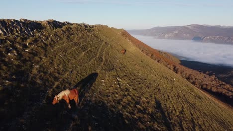 drone flight over sea of ​​clouds