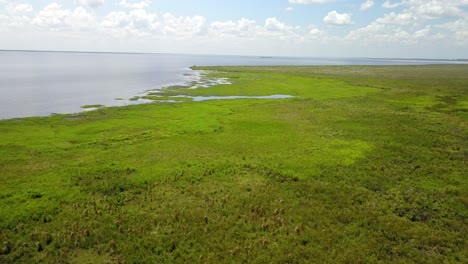 Wetlands-of-northeast-Argentina-shooted-with-drone