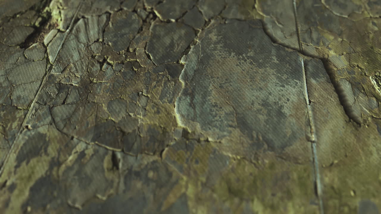 textura superficial agrietada que revela capas de desgaste y envejecimiento en el material natural