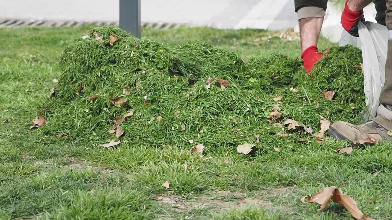 Grass Clippings and Leaves Collected