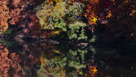 an aerial view over a reflective lake in the morning with colorful autumn trees on the banks