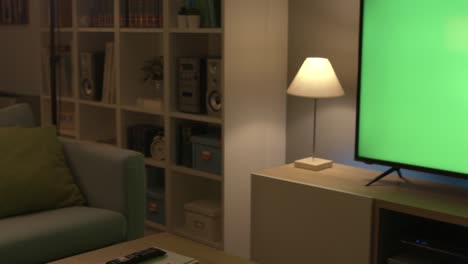 young woman relaxing and watching television