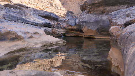 tranquil oasis landscape scene in the countryside of the sultanate of oman