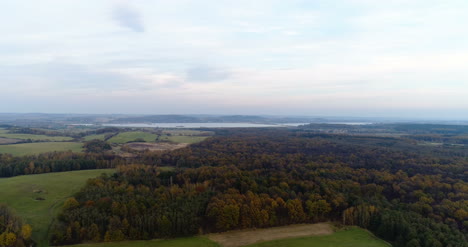 Von-Oben-über-Waldwald-Fliegen