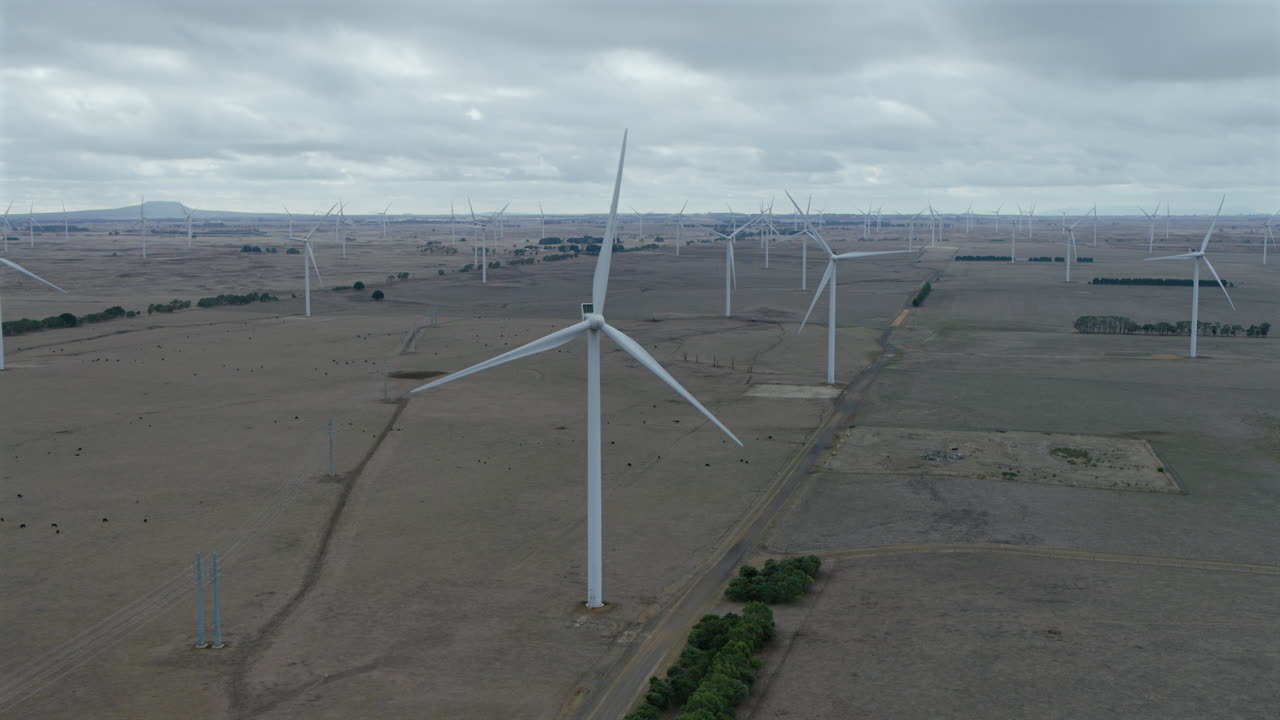 Wind turbines are devices that convert the kinetic energy of wind into electrical energy. They are a renewable energy source that can be used to power homes, businesses, and entire communities.