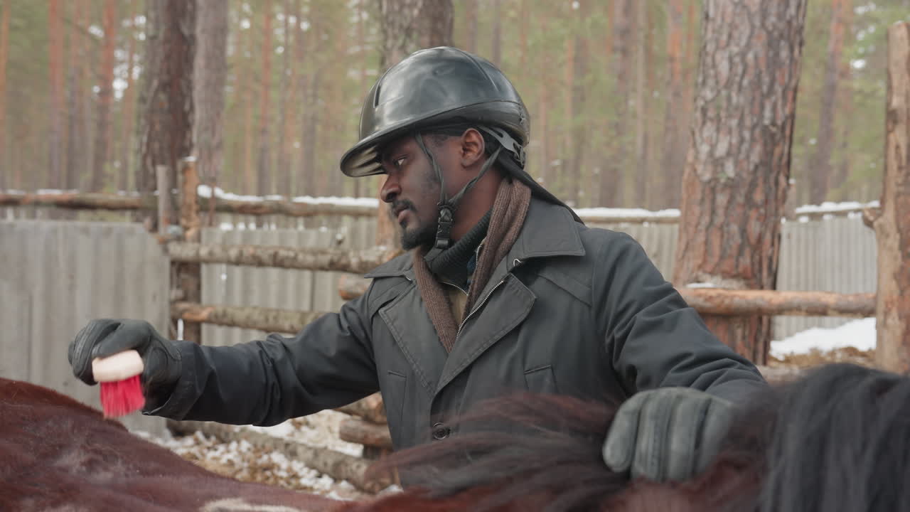 revisión del estado de salud equino, inspección de caballos en condiciones invernales, técnico examinando el flanco de un caballo con equipo de protección, veterinario examinando cuidadosamente un caballo en un recinto nevado