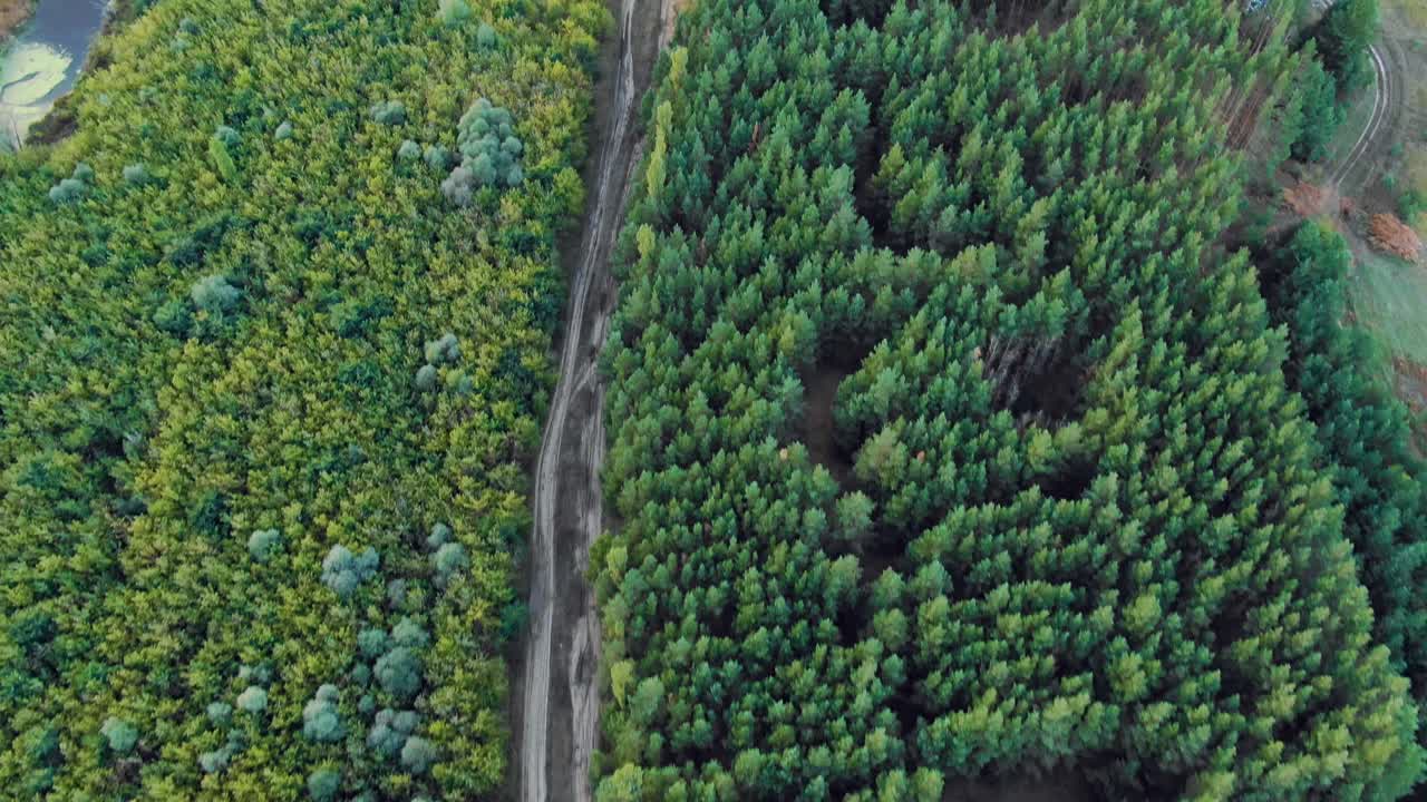 vista aérea del paisaje del bosque, el río y las tierras de cultivo