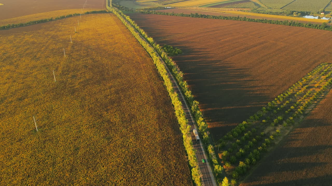 Aerial drone view of nature in Moldova at sunset. Wide fields, road with moving cars, trees