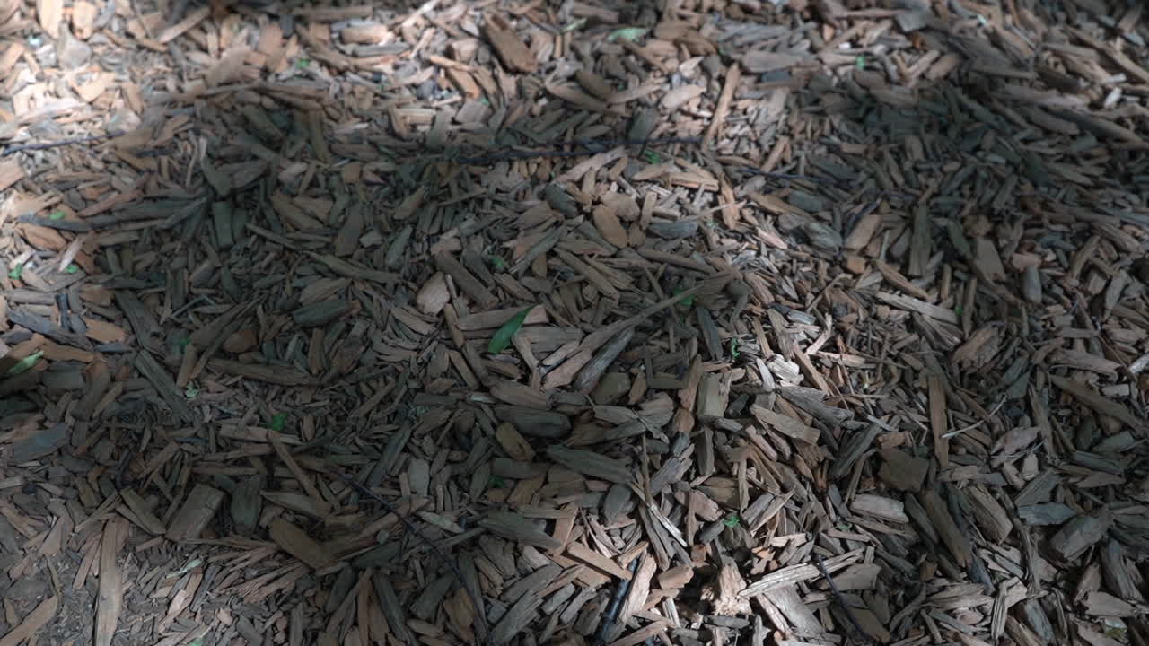 Brown mulch woodchips wood chips mulching mulch stock video footage