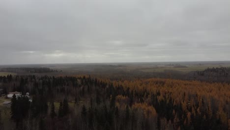 Vuelo-Aéreo-Sobre-Los-Colores-Del-Bosque-Rural-De-La-Cabaña-ámbar-Naranja-Verde-Gris-Gris-árboles-En-La-Tarde-De-Otoño-Con-Niebla-Asentándose-Y-Nieve-Ráfaga-Cayendo-En-Un-ángulo-De-45-Grados-En-Rochester1-2