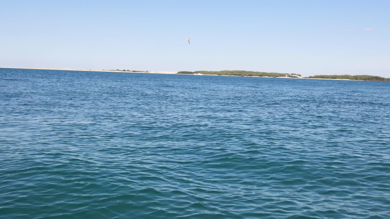 부드러운 파도와 은 하늘 아래 멀리 있는 섬들