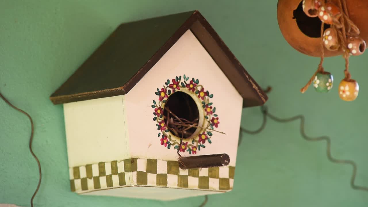 Artificial nest box used by Southern House Wren bird for nesting