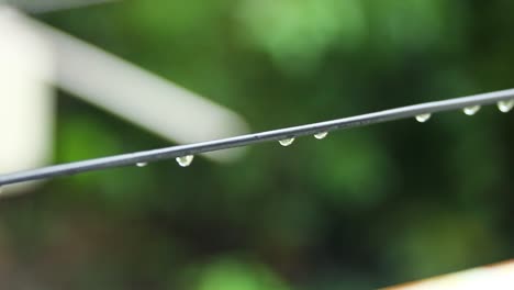 water droplets on black electrical wire