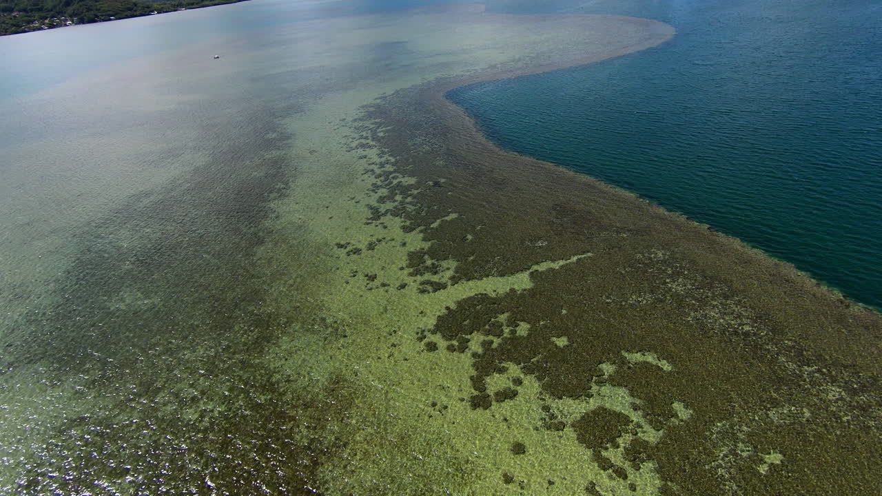 голубые и зеленые цвета южной части тихого океана, беспилотник пролетает над великолепным голубым заливом канеохе на острове оаху, кораллы и скалистые атоллы внизу