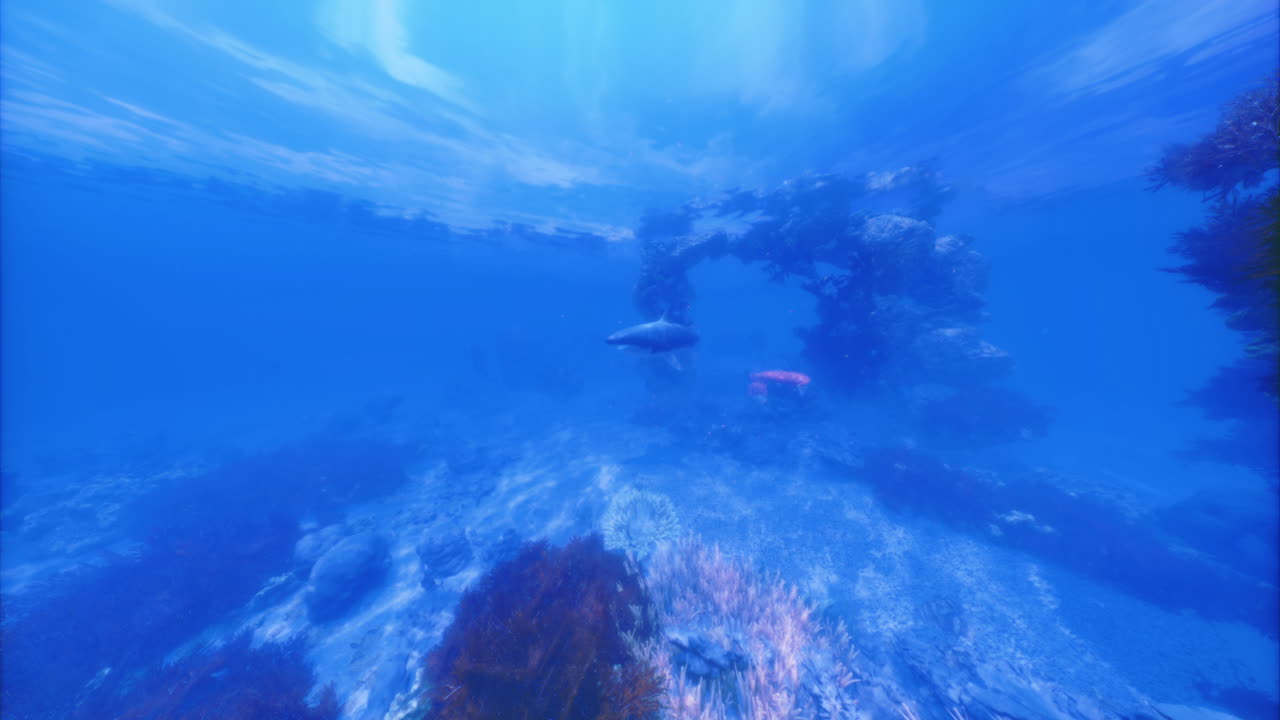 Exploring the vibrant underwater world with marine life and coral reefs