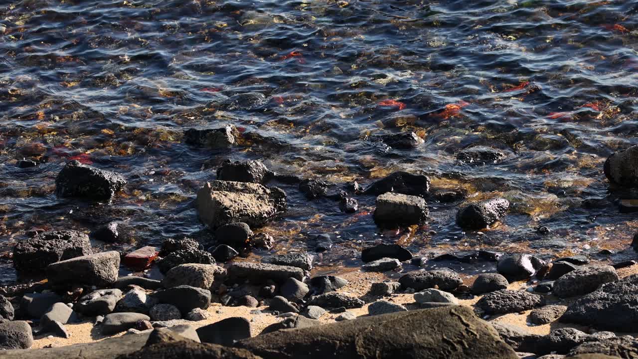 브라이튼 해변의 바위에 부히는 파도