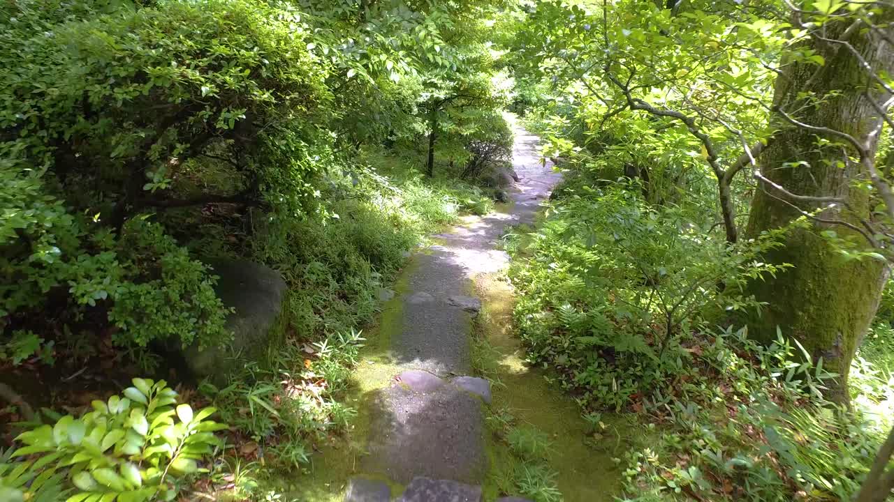 pov, 네즈 뮤지엄 정원 산책