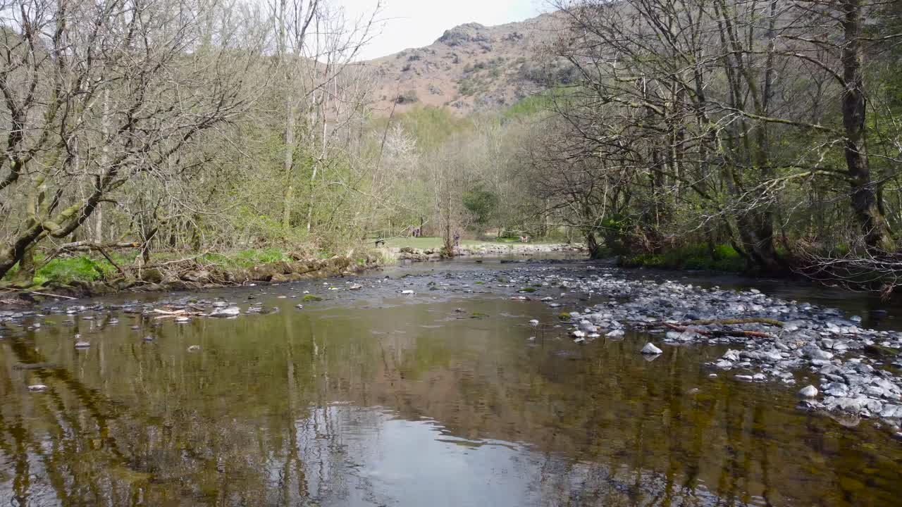 Una ripresa in movimento del fiume Rothay che scorre nel mezzo della giungla.