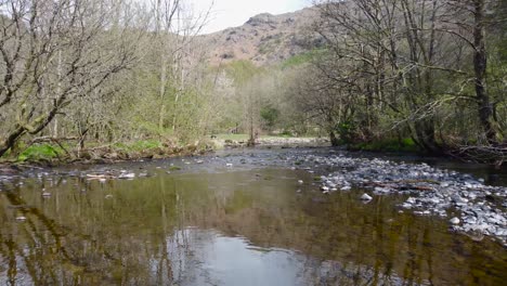 Eine-Laufende-Aufnahme-Des-Rothay-Flusses,-Der-Mitten-Im-Dschungel-Fließt