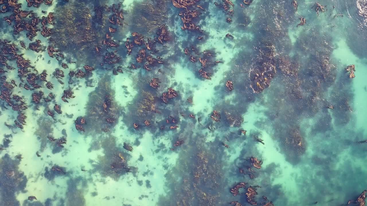 Scenic Aerial Footage of Shelly Point Australia, Shelly Beach Steady