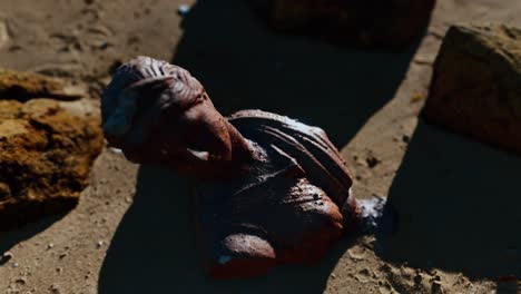 ancient woman bust at sand beach