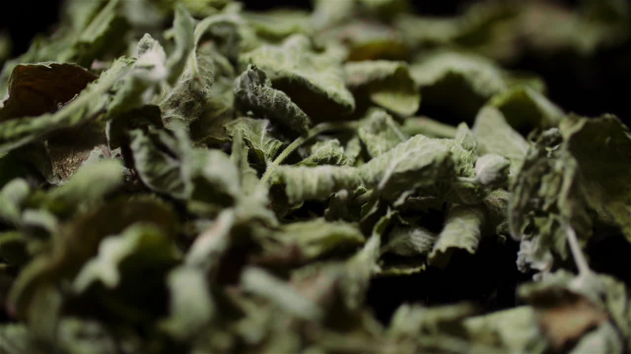 hojas de menta seca girando sobre fondo negro 2