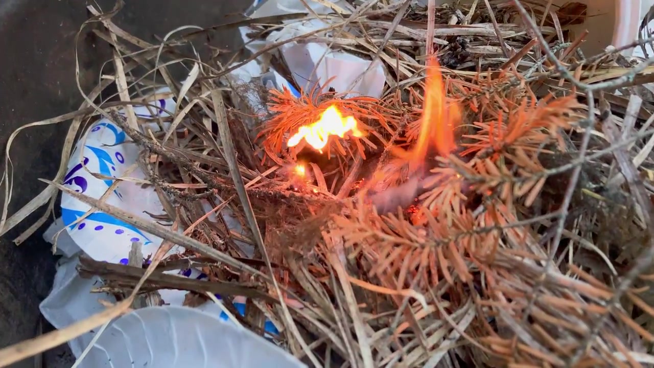 Nærbilde av flint og stål som antenner naturlig opptenningsmateriale mens flammene sprer seg gjennom tørre furunåler, som demonstrerer bushcraft, overlevelse og ferdigheter i å starte ild.