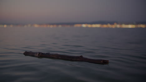 drifting log in calm twilight sea