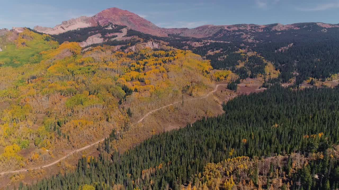 Pioppi tremuli che cambiano colore sul Kebler Pass, Colorado.
