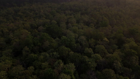 Sobrevuelo-Aéreo-De-La-Selva-En-El-Bosque-De-Kerala-Bosque-De-Athirappilly