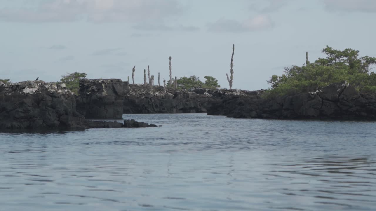 A breathtaking video of the Isabela Tunnels, a unique volcanic formation in the Galápagos Islands, Ecuador.