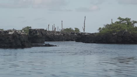 a breathtaking video of the isabela tunnels, a unique volcanic formation in the galápagos islands, ecuador.