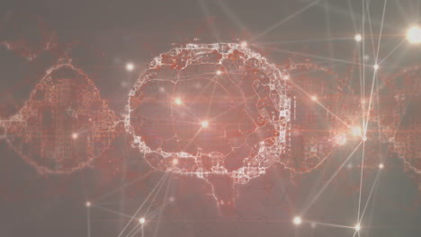 animación del cerebro humano y la cadena de adn girando sobre una red de conexiones