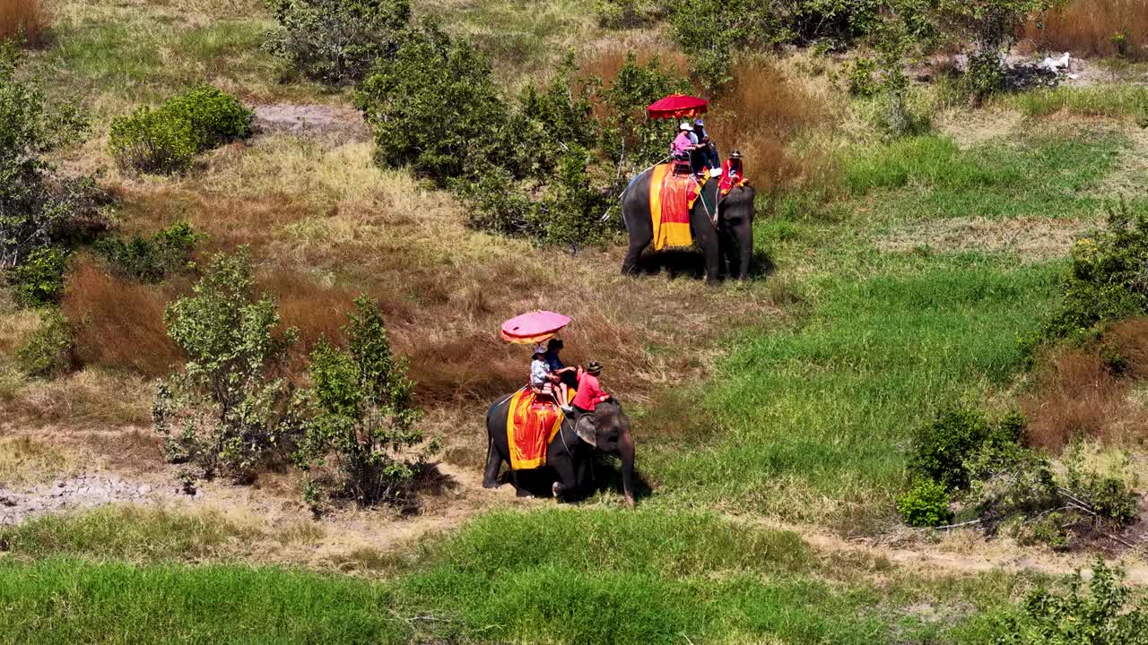 Ampia inquadratura ad angolo alto di due elefanti che trasportano turisti attraverso un campo verde soleggiato