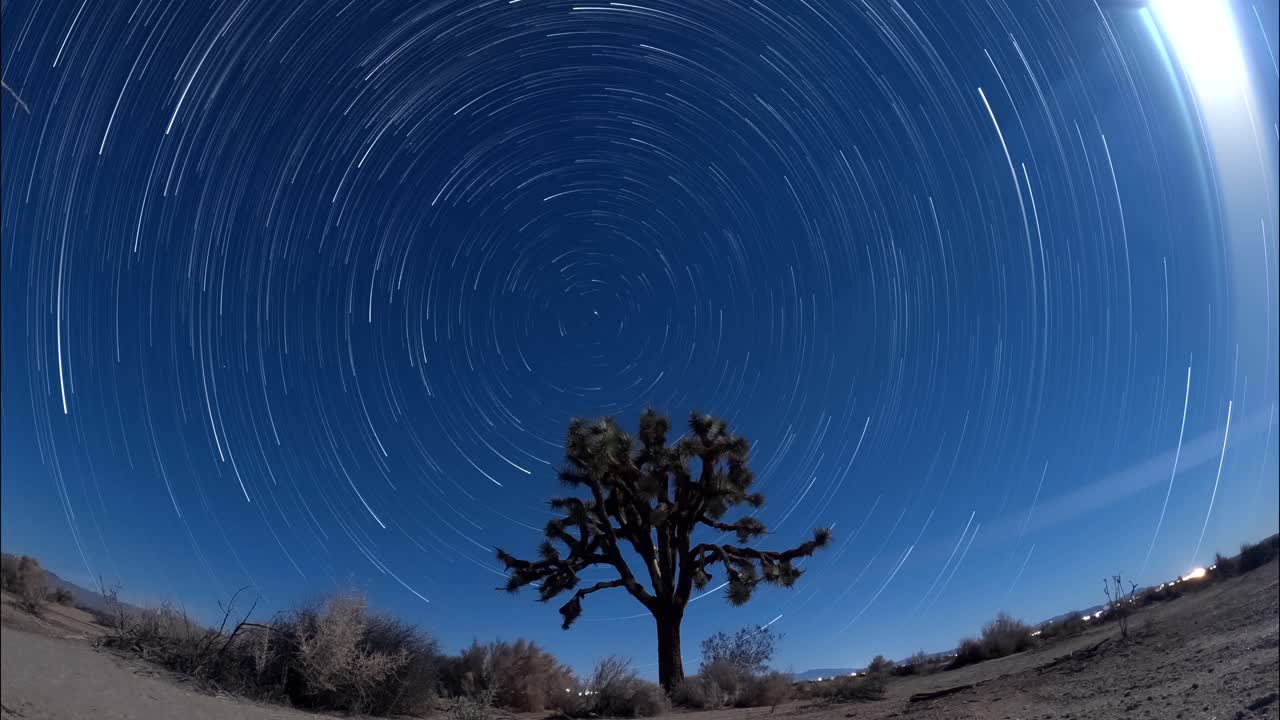 los senderos de luz estelar hacen círculos en el cielo alrededor de la estrella del norte con un árbol de joshua en primer plano - lapso de tiempo de exposición prolongado