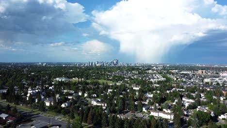 urban communities covered with green trees with downtown view in the background