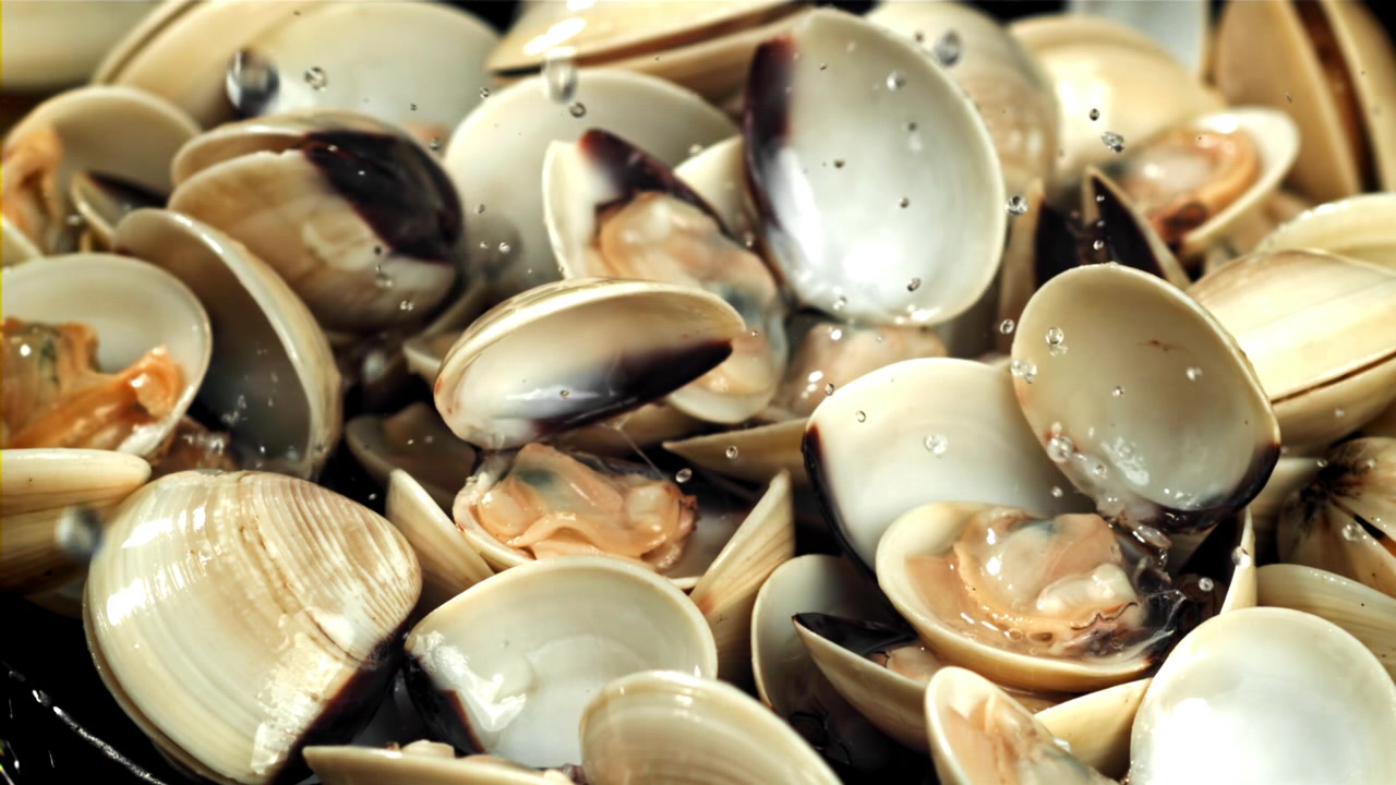 Close-up of Fresh Clams Being Washed with Water