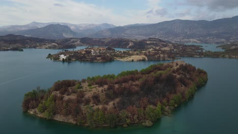 forest destruction in lake