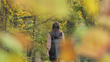 Joyful woman stands with open arms surrounded by golden autumn forest colors